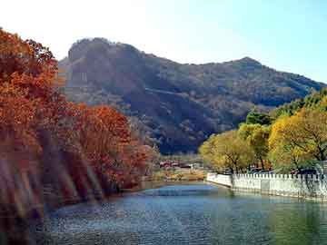 澳门二四六天天彩图库，旅行社推广